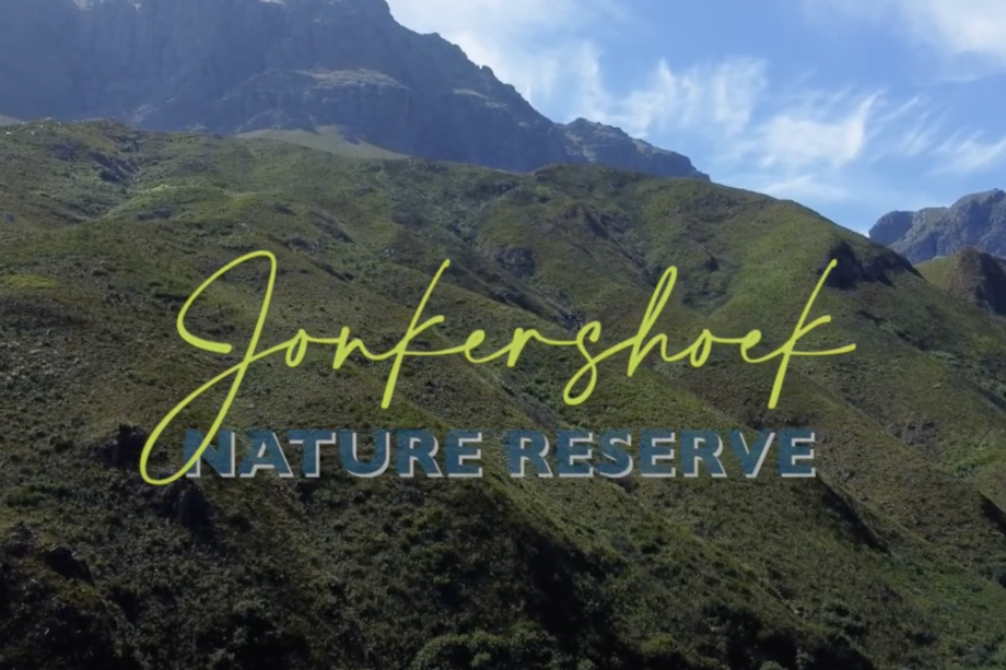 Image related to website content Image related to website content