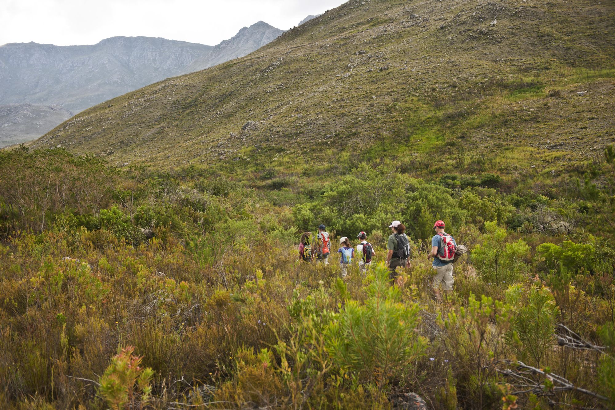 Image related to website content Image related to website content