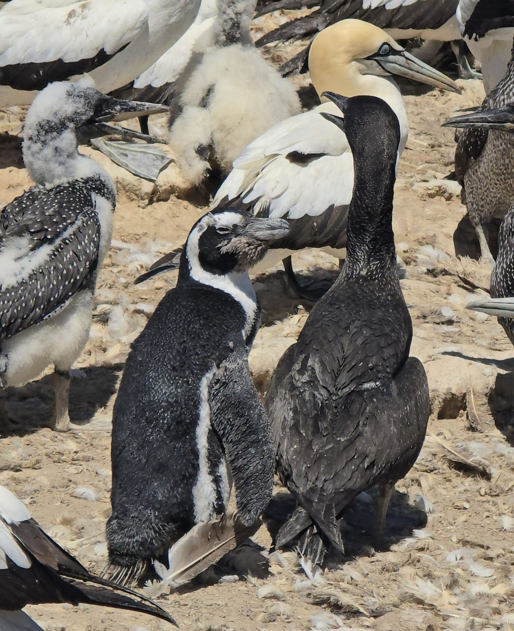 Image related to website content Image related to website content