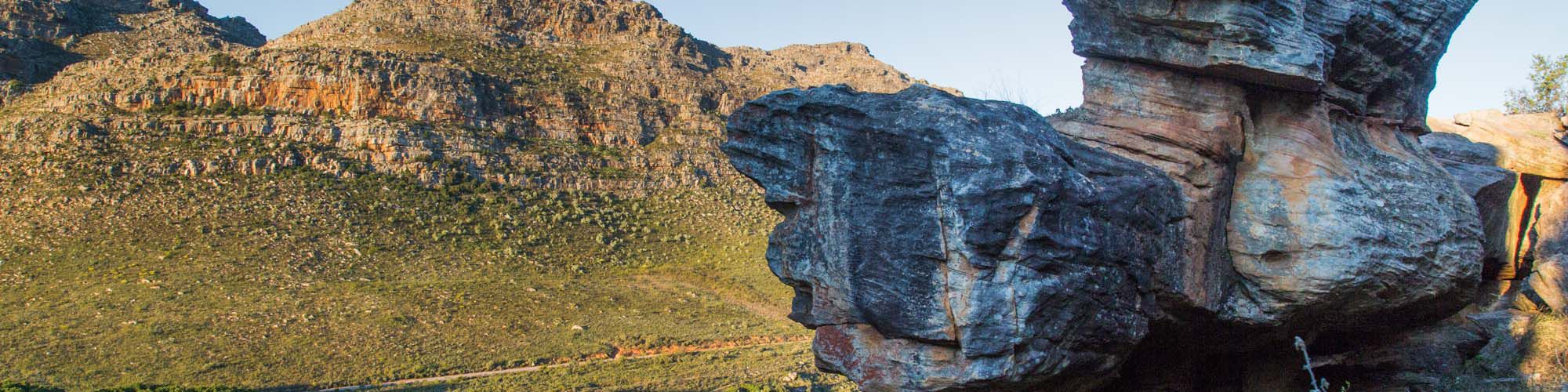 Cederberg Scott Ramsay 214 Cederberg Scott Ramsay 214