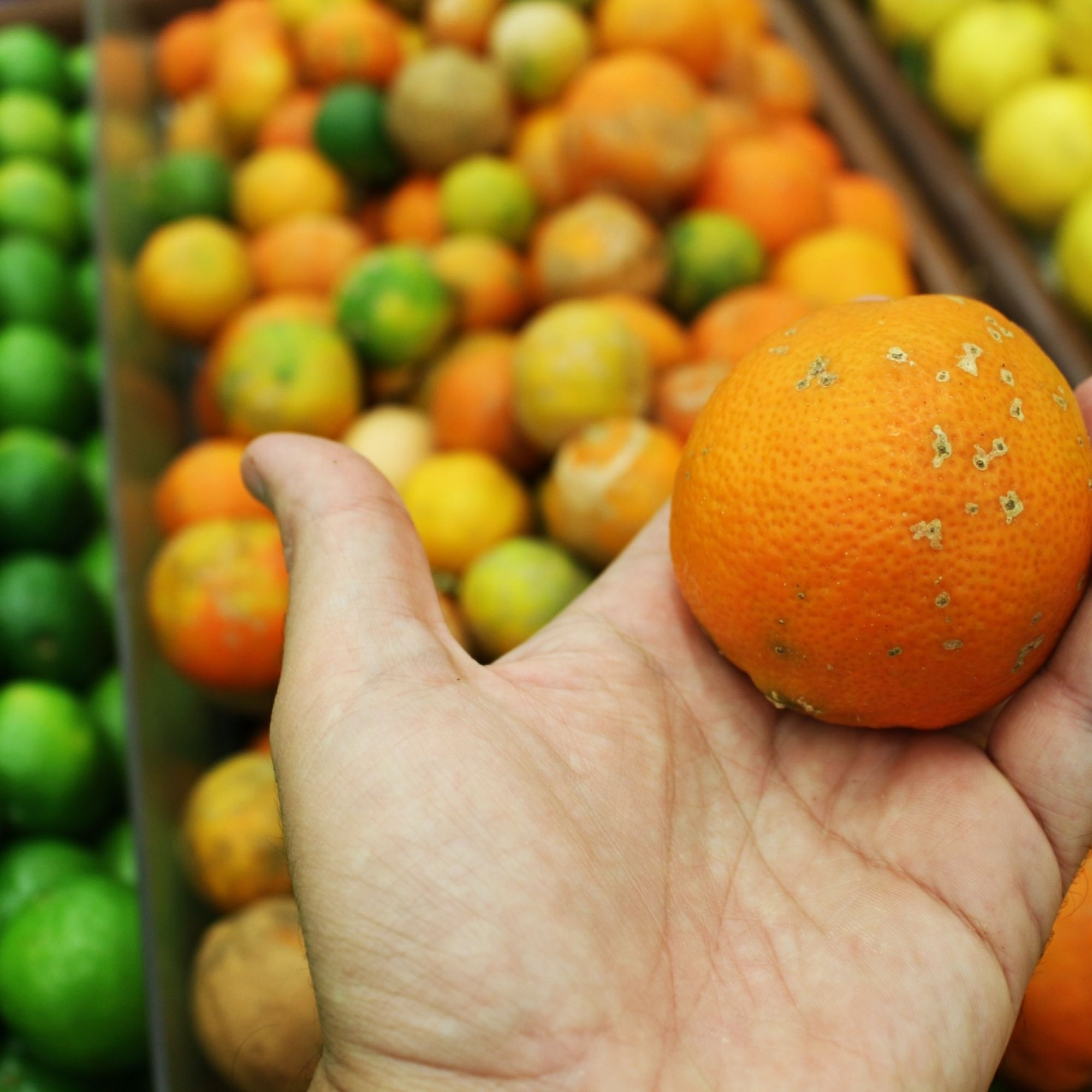 Image related to website content Image related to website content