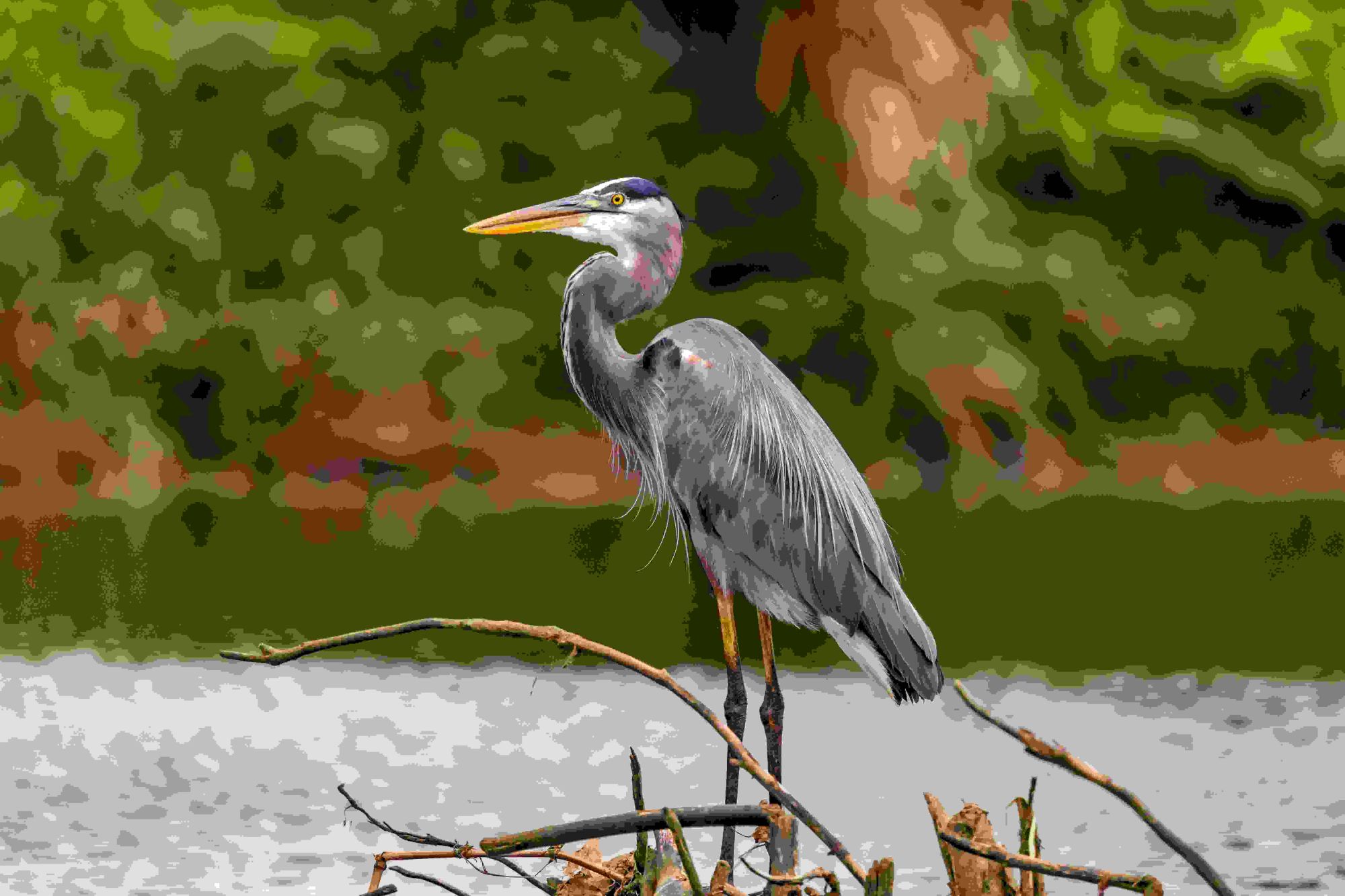 Image related to website content Image related to website content