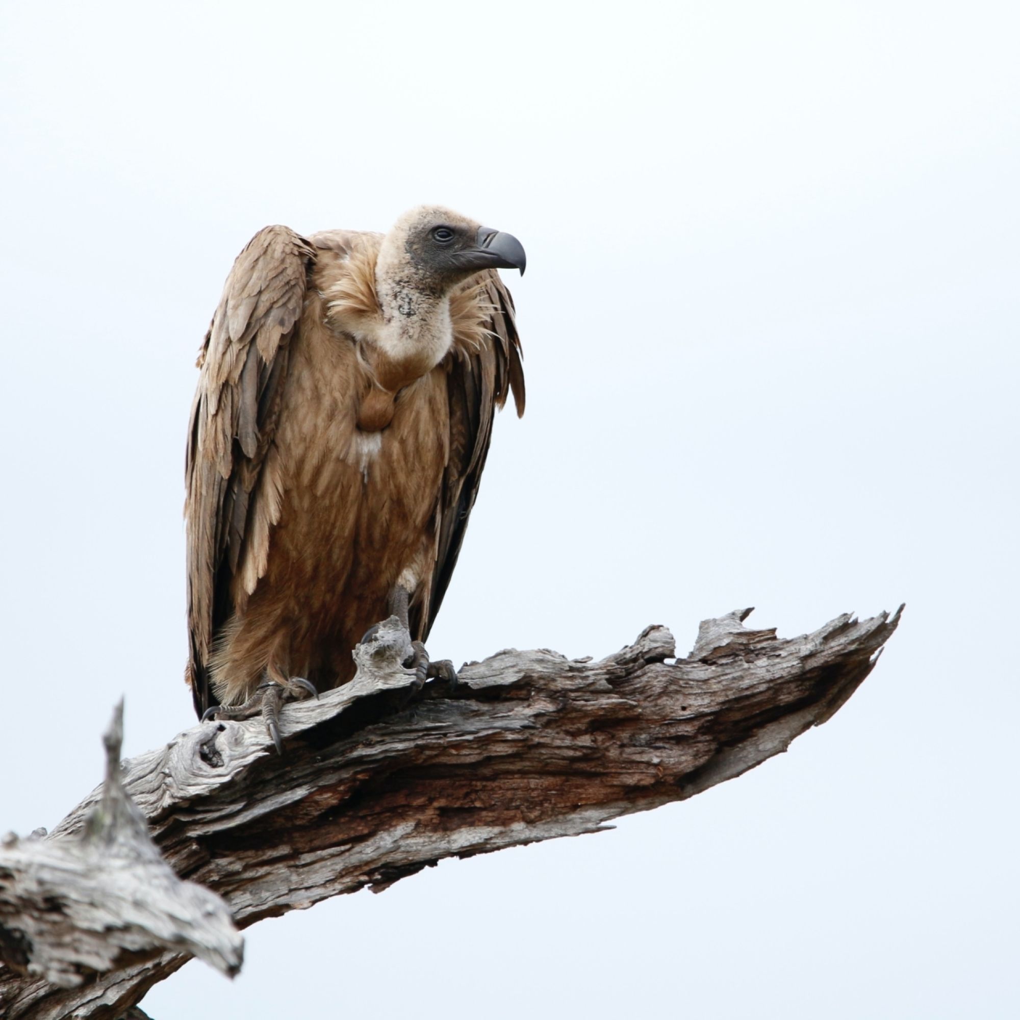 Image related to website content Image related to website content