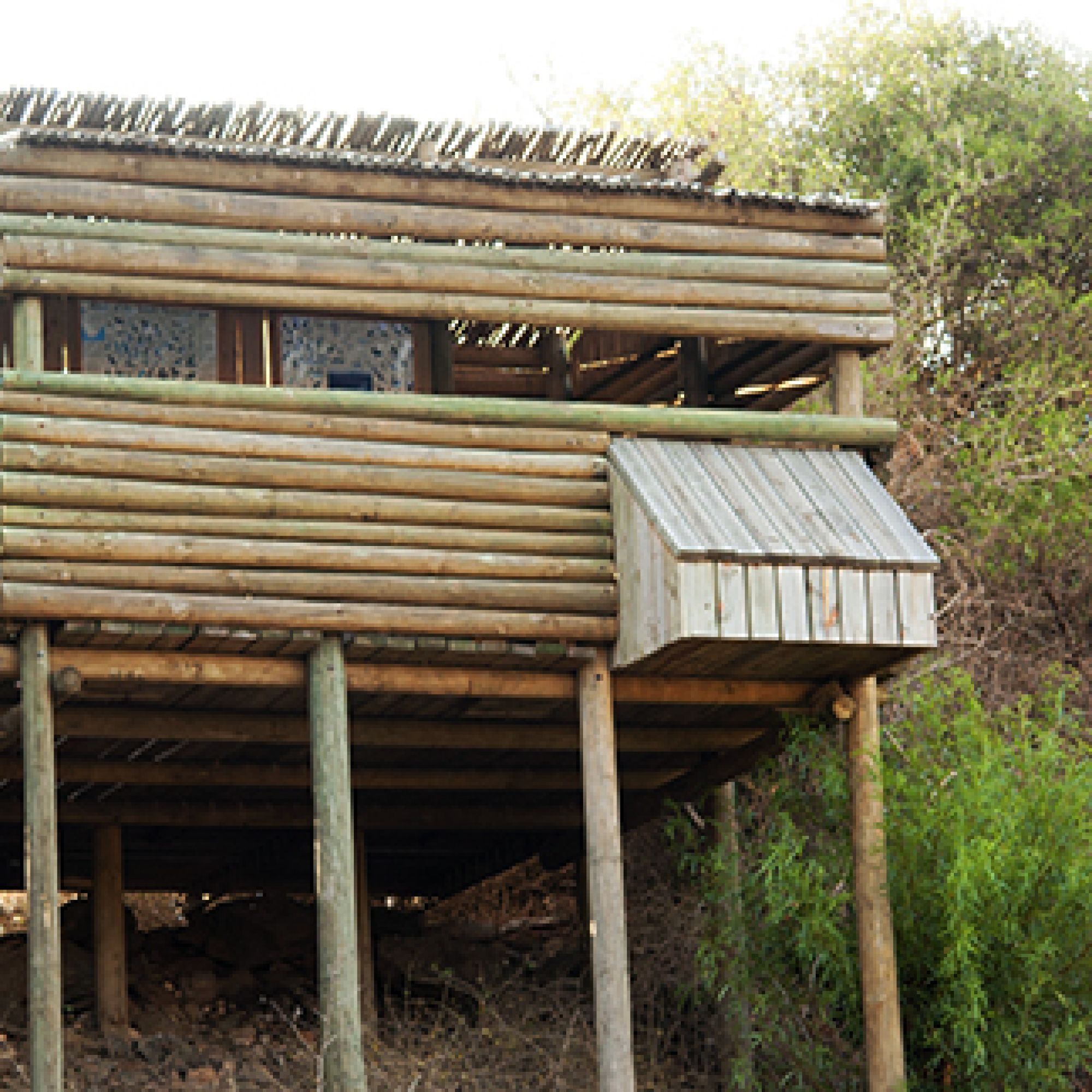 Image related to website content