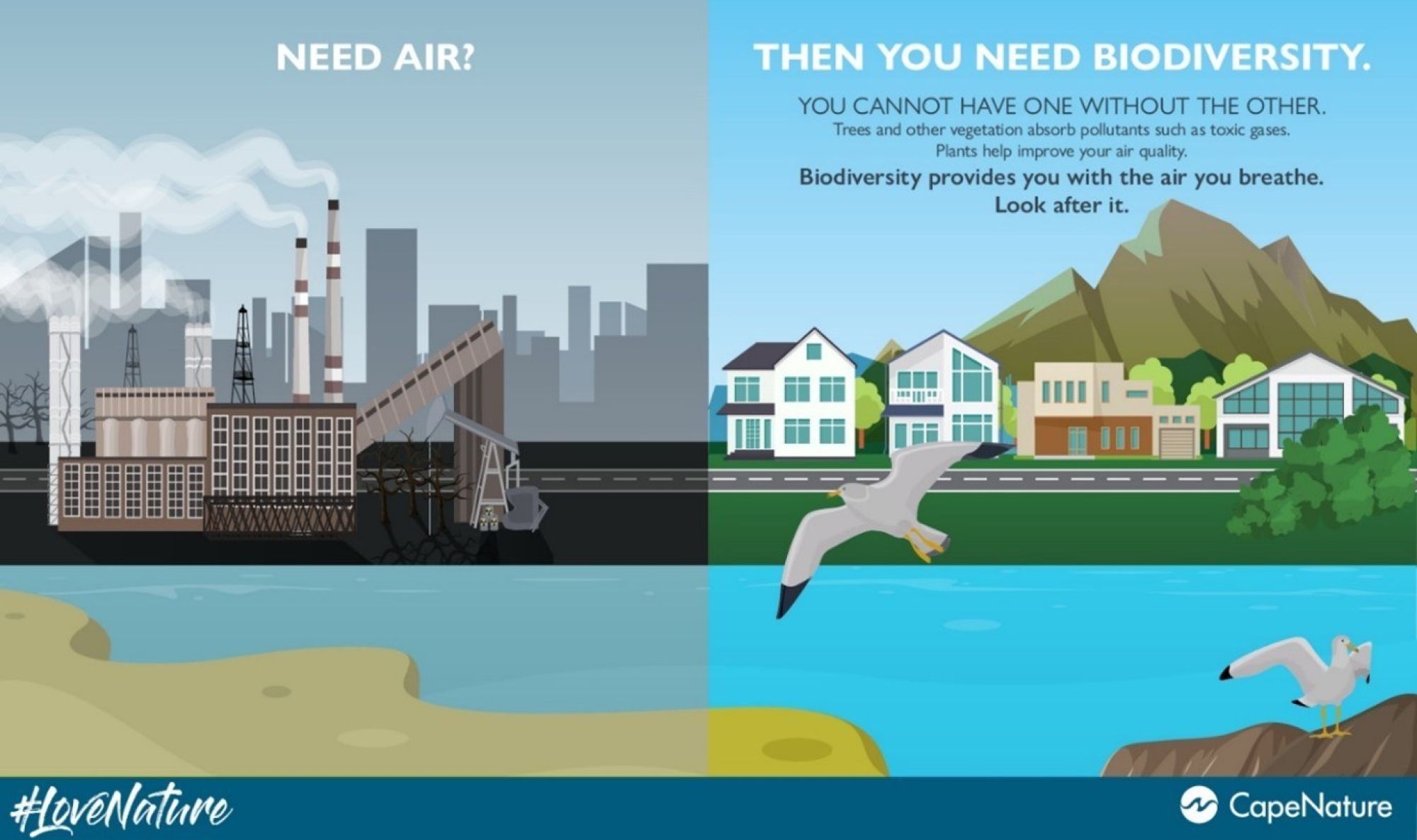 Image related to website content Image related to website content