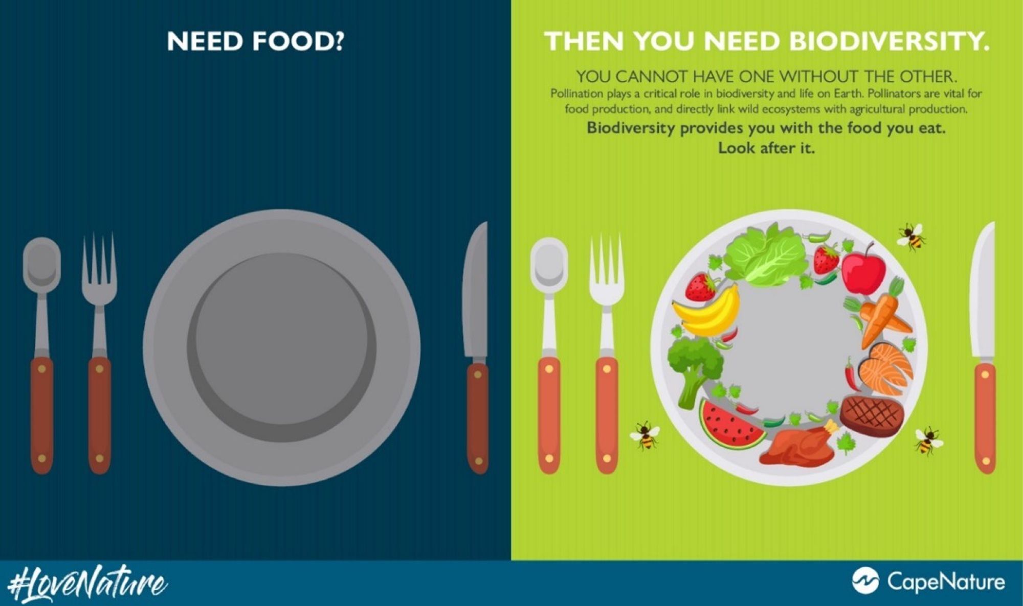 Image related to website content Image related to website content