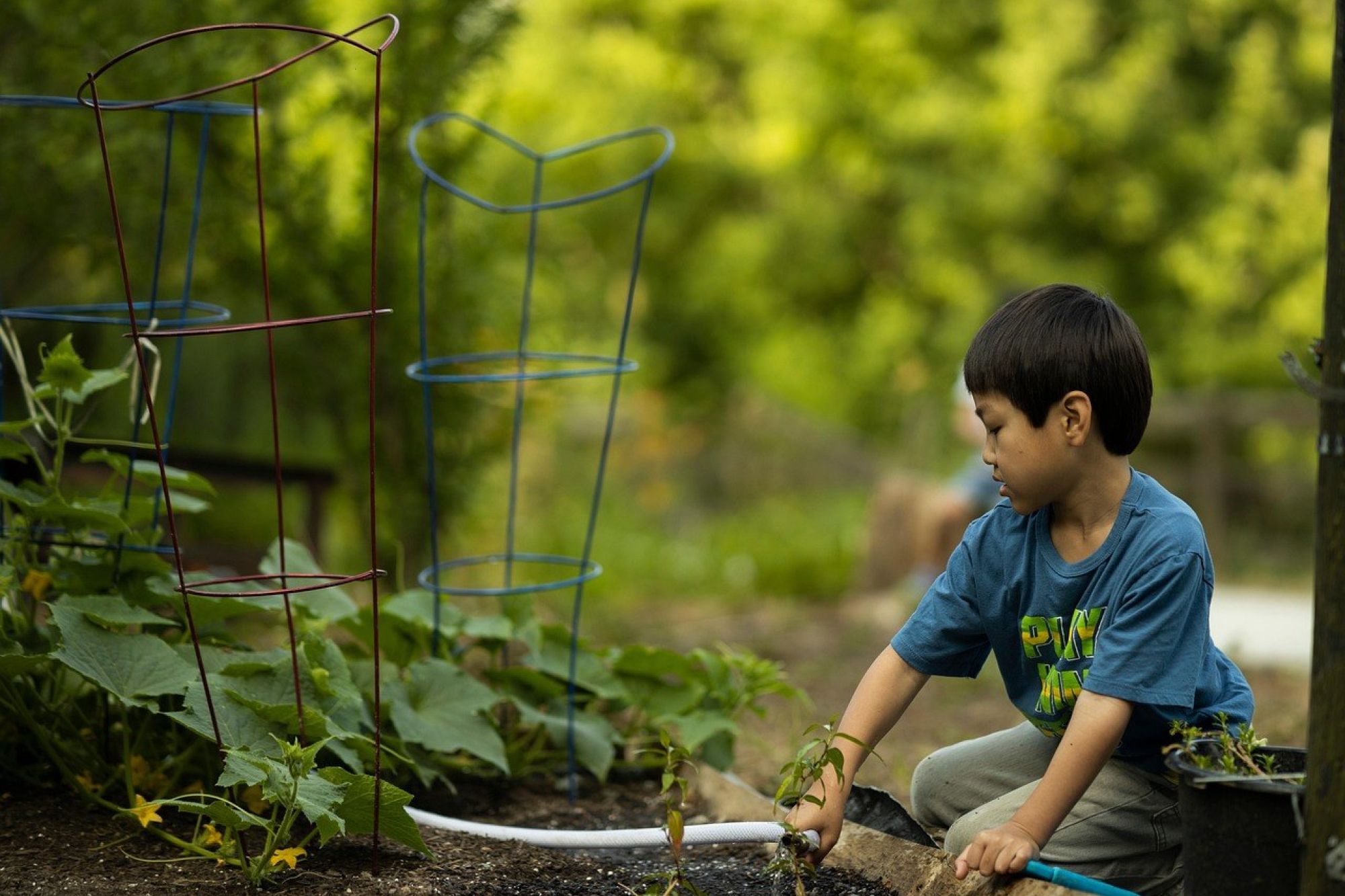 Raksasokh child gardening Raksasokh child gardening
