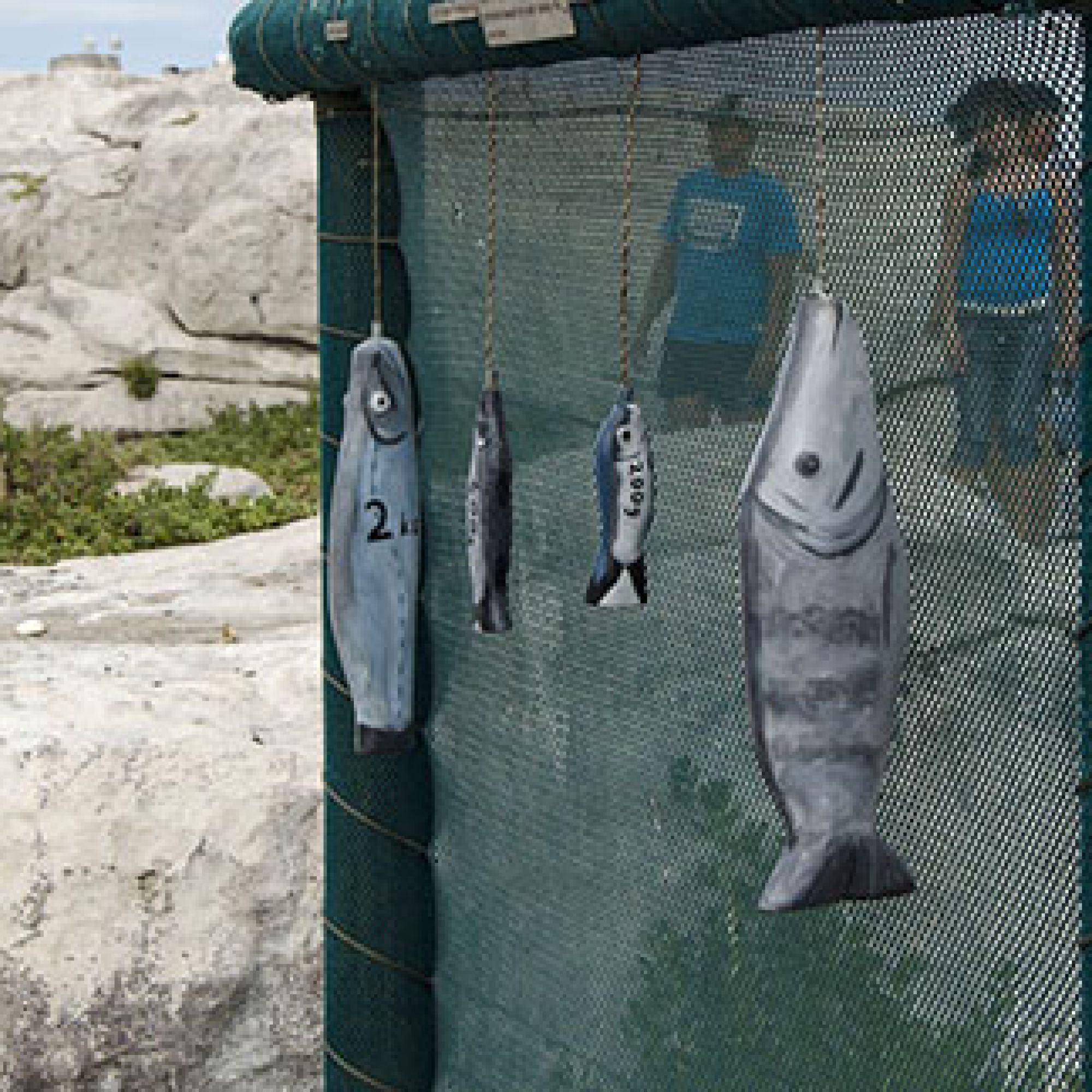 Image related to website content