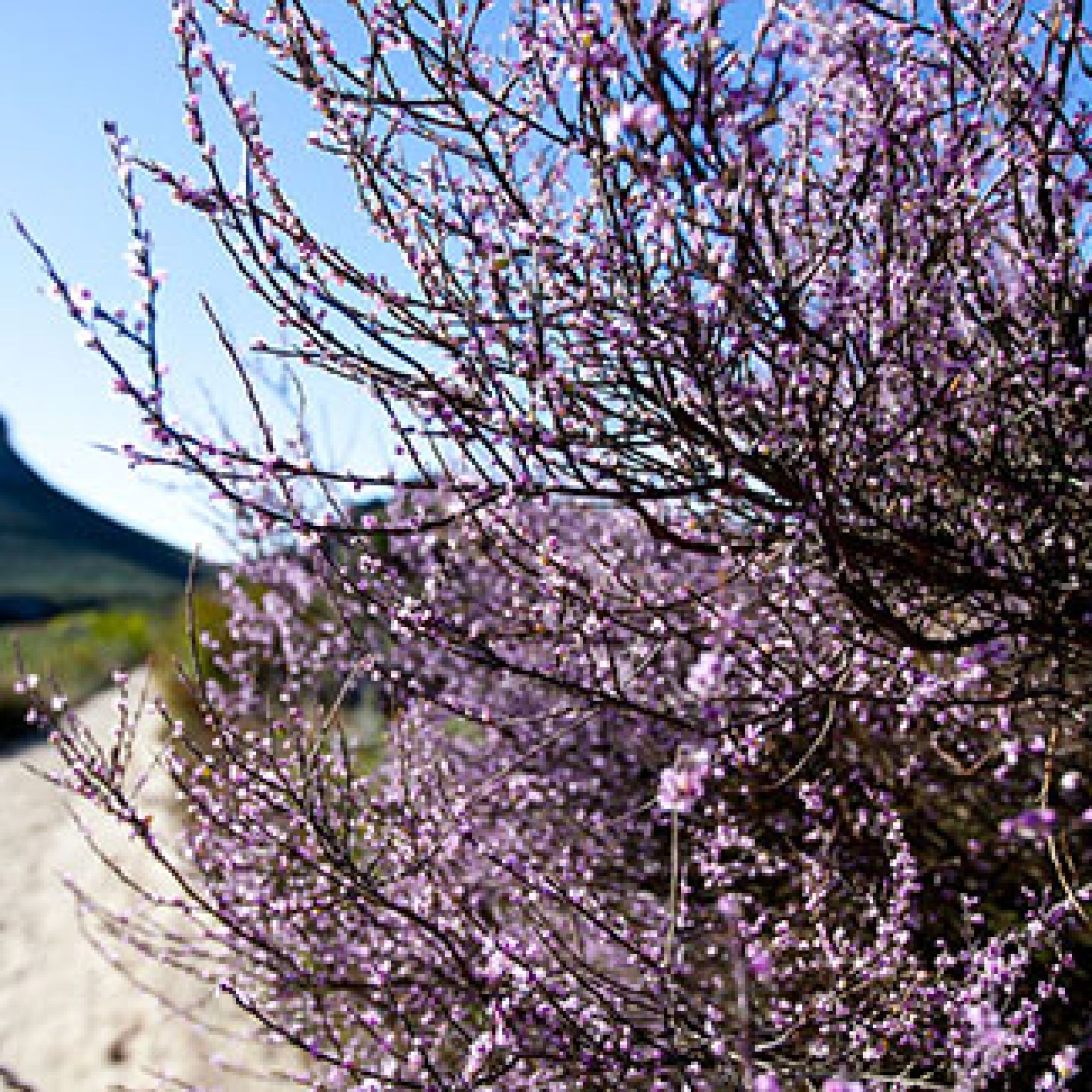 Image related to website content