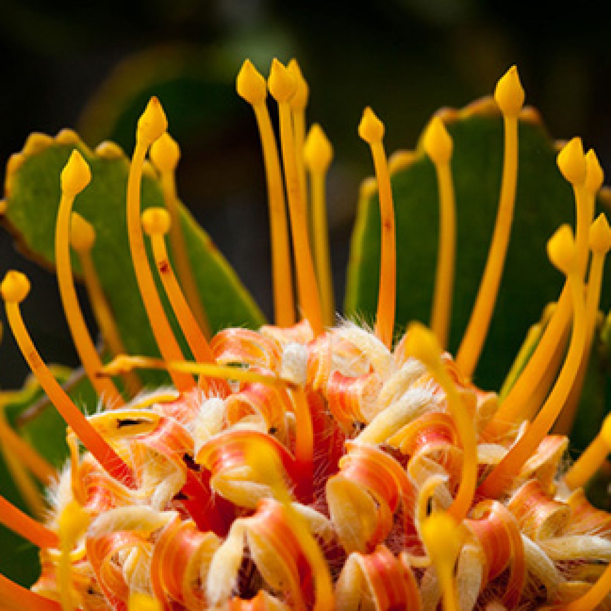 Image related to website content