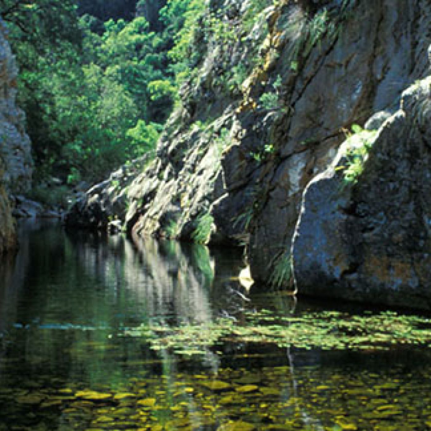 Outeniqua Nature Reserve Capenature