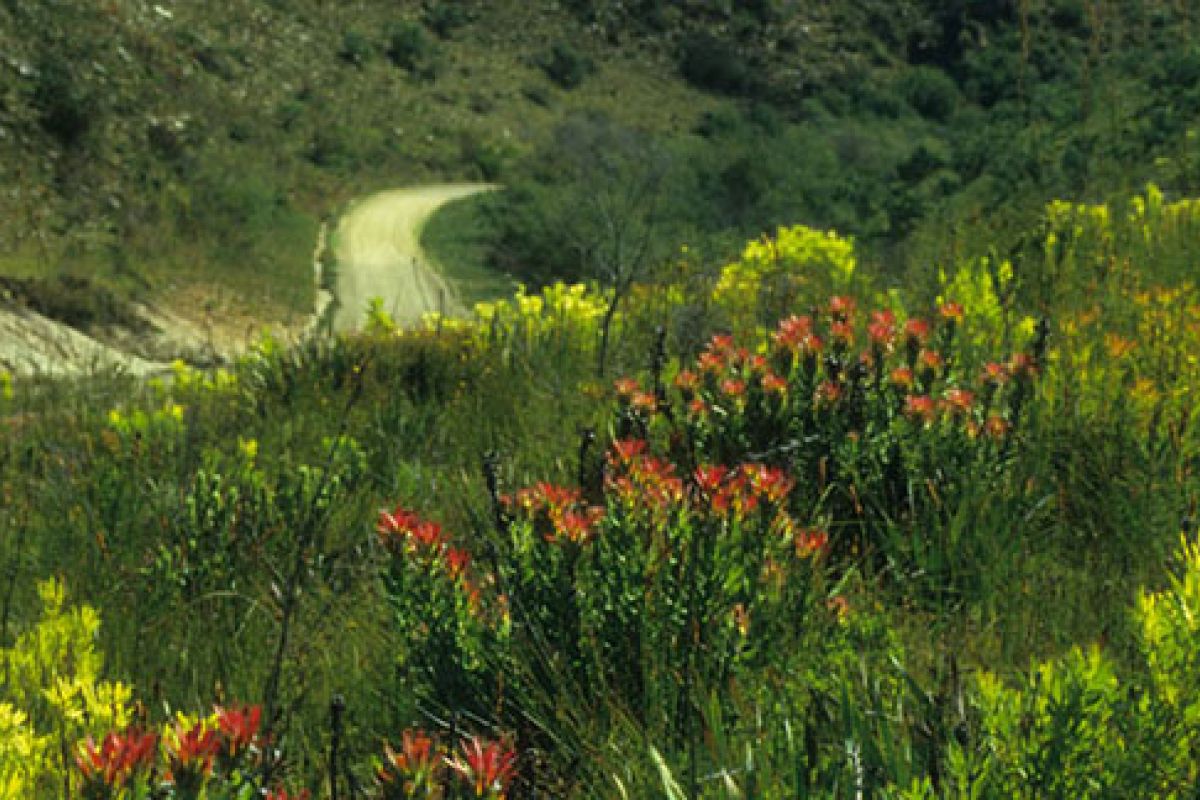 Reserve oq slide4 Reserve oq slide4