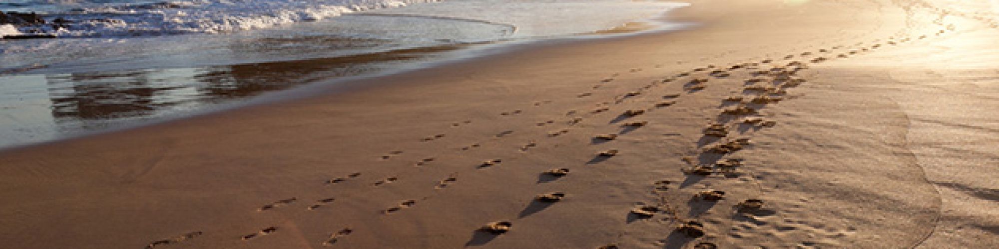 Reserve rb slide5 Reserve rb slide5