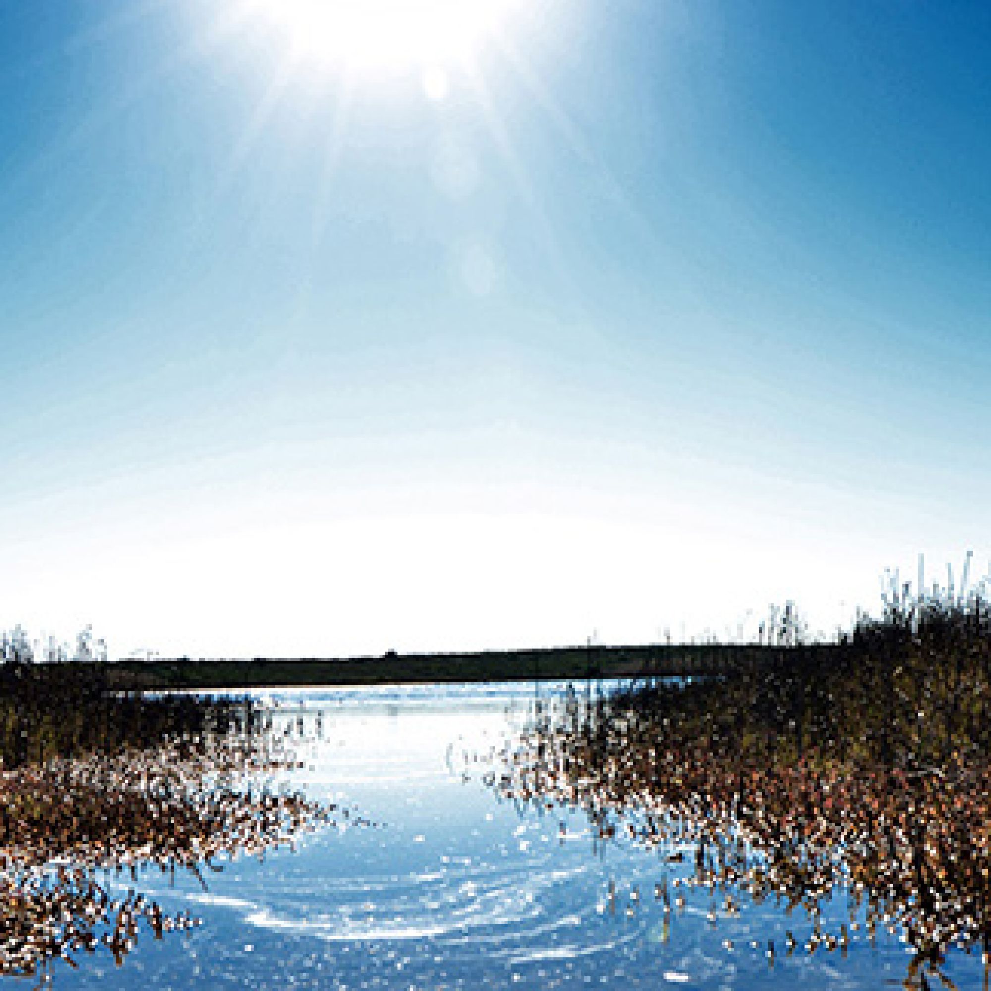 Image related to website content