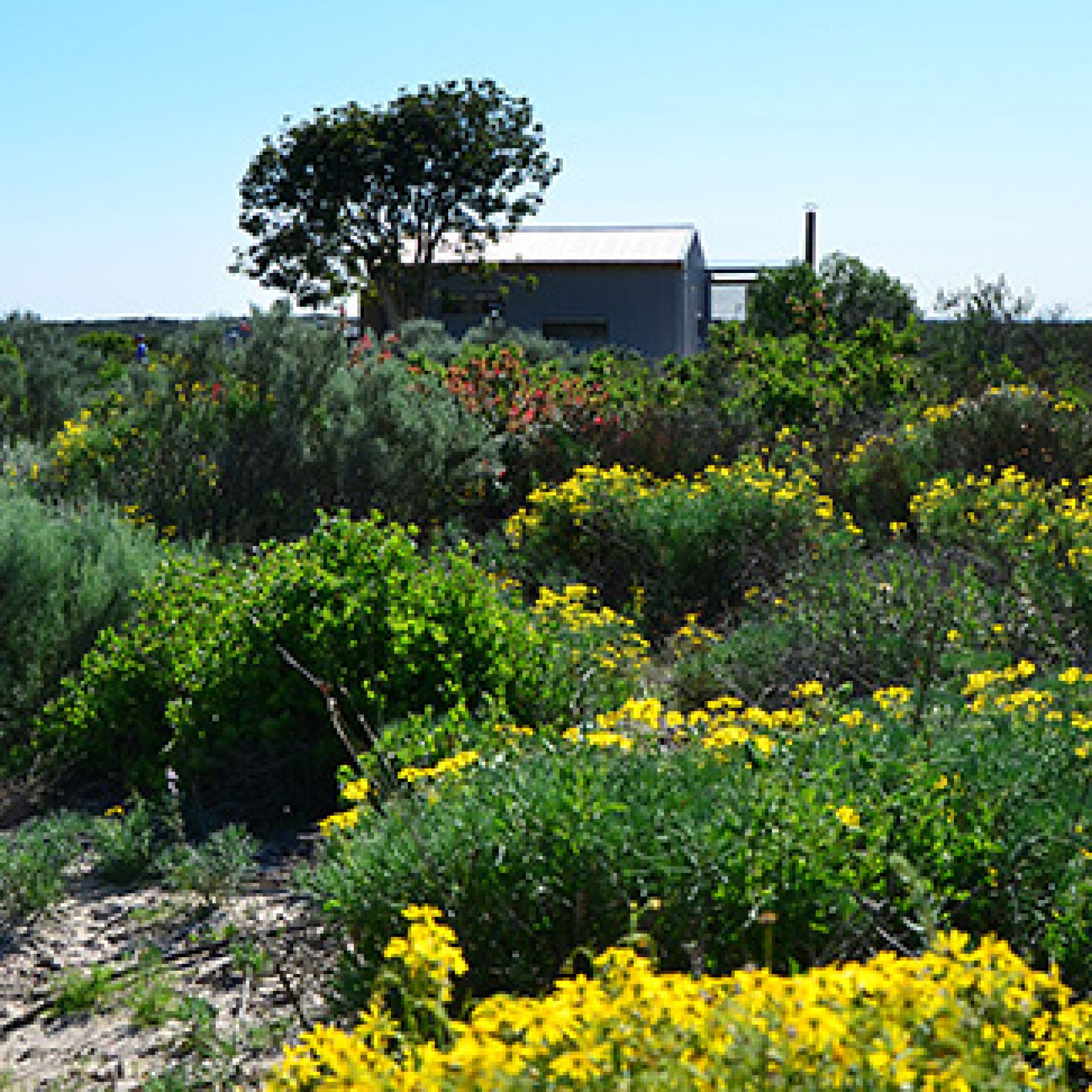 Image related to website content