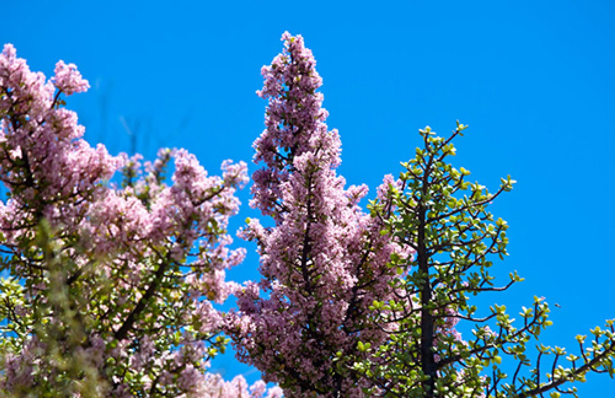 Image related to website content