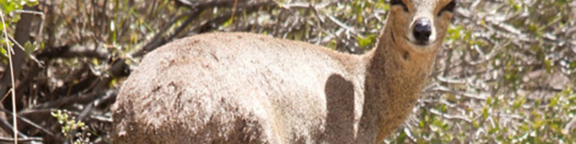 Reserve sb slide3 Reserve sb slide3