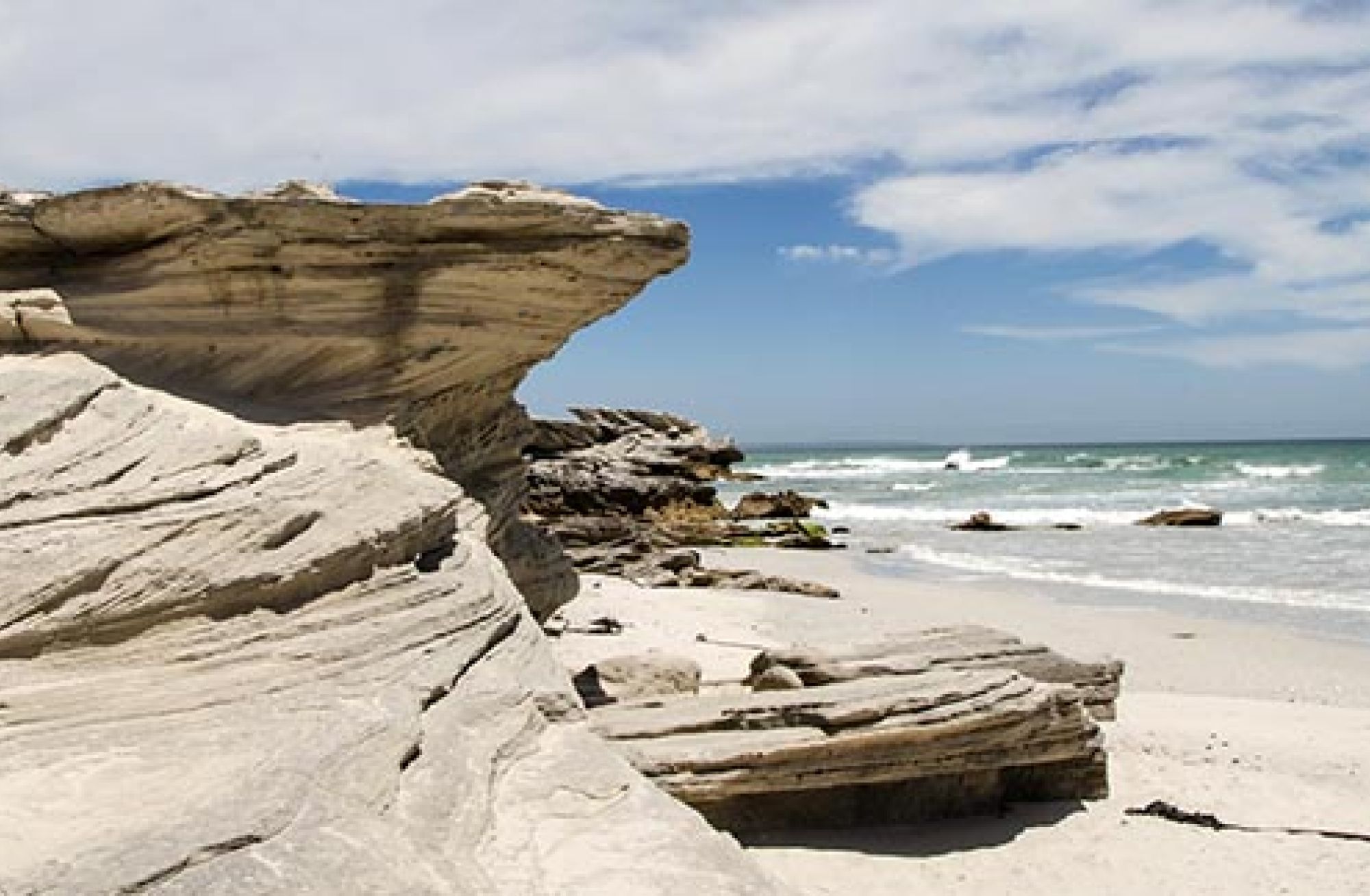 Overeenkomstig met dood gaan astronaut Walker Bay Nature Reserve Conservation – Capenature