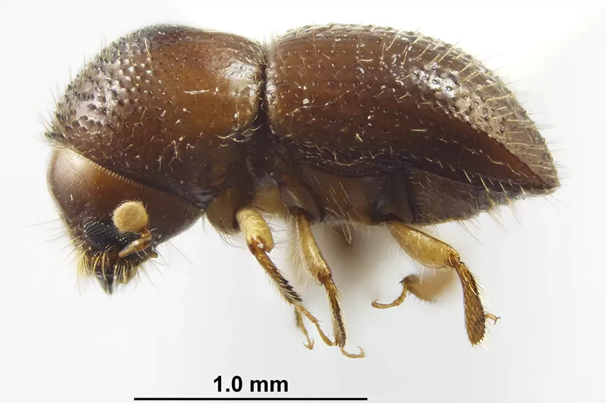 Image related to website content Image related to website content