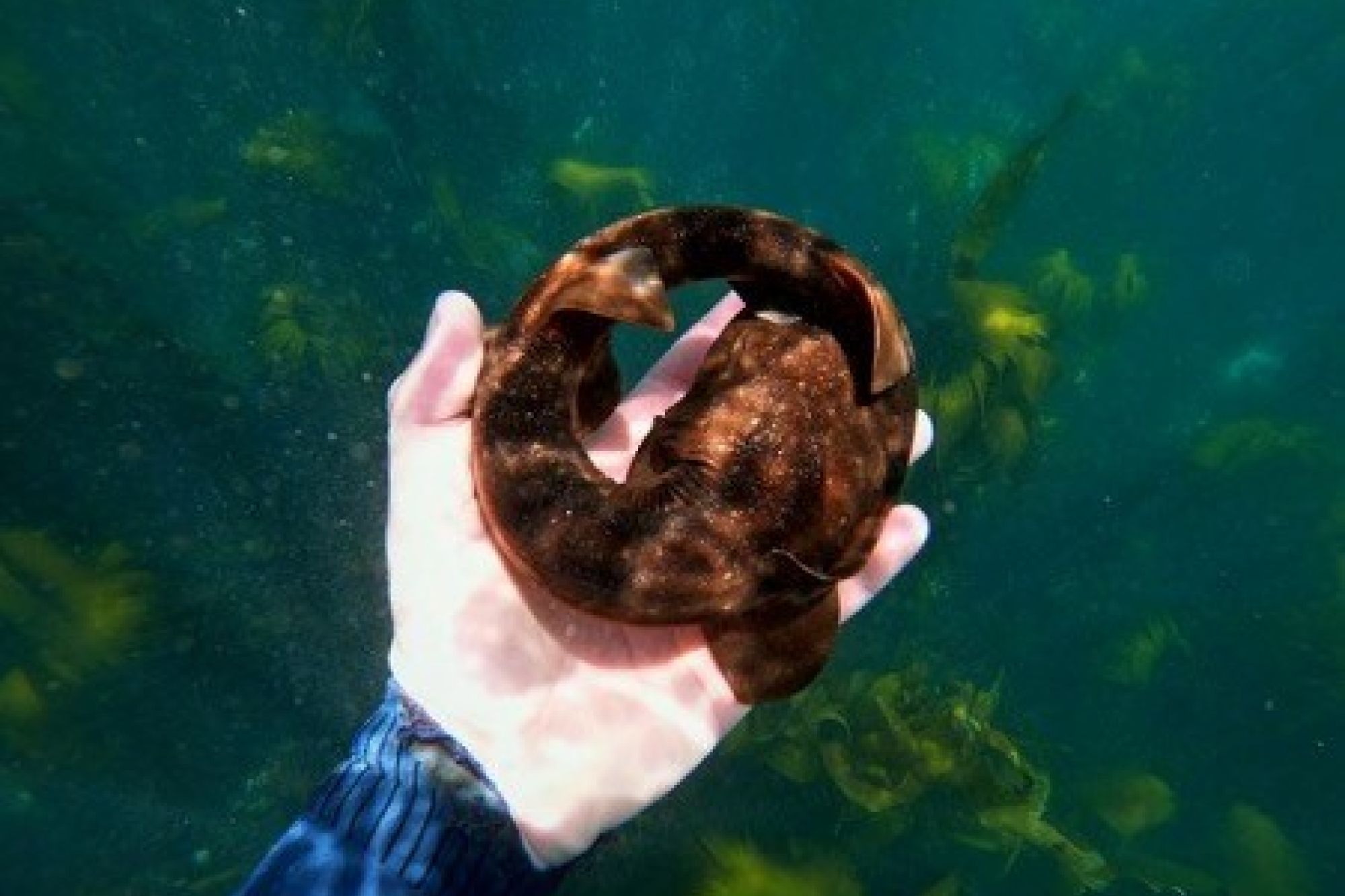 Image related to website content Image related to website content