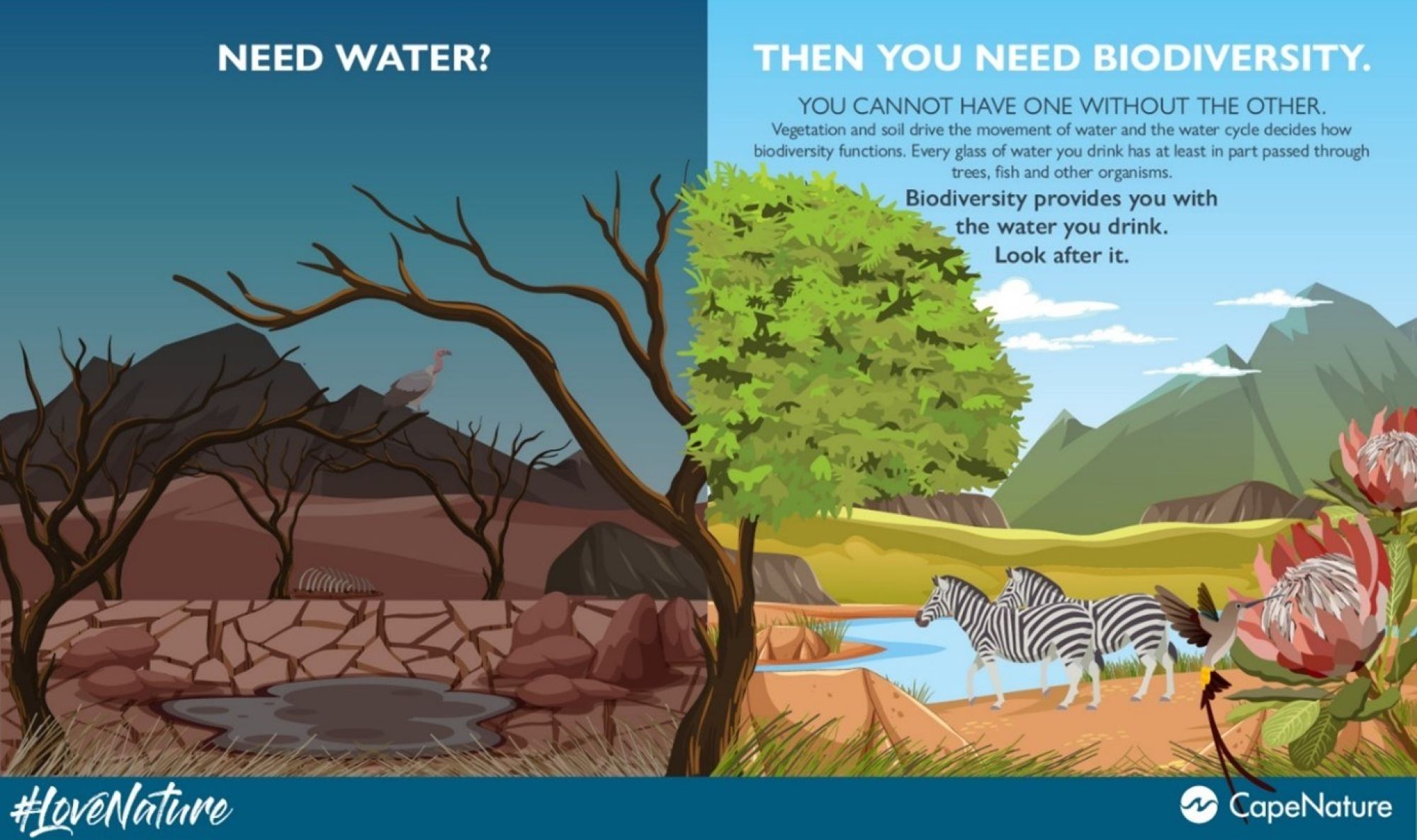 Image related to website content Image related to website content