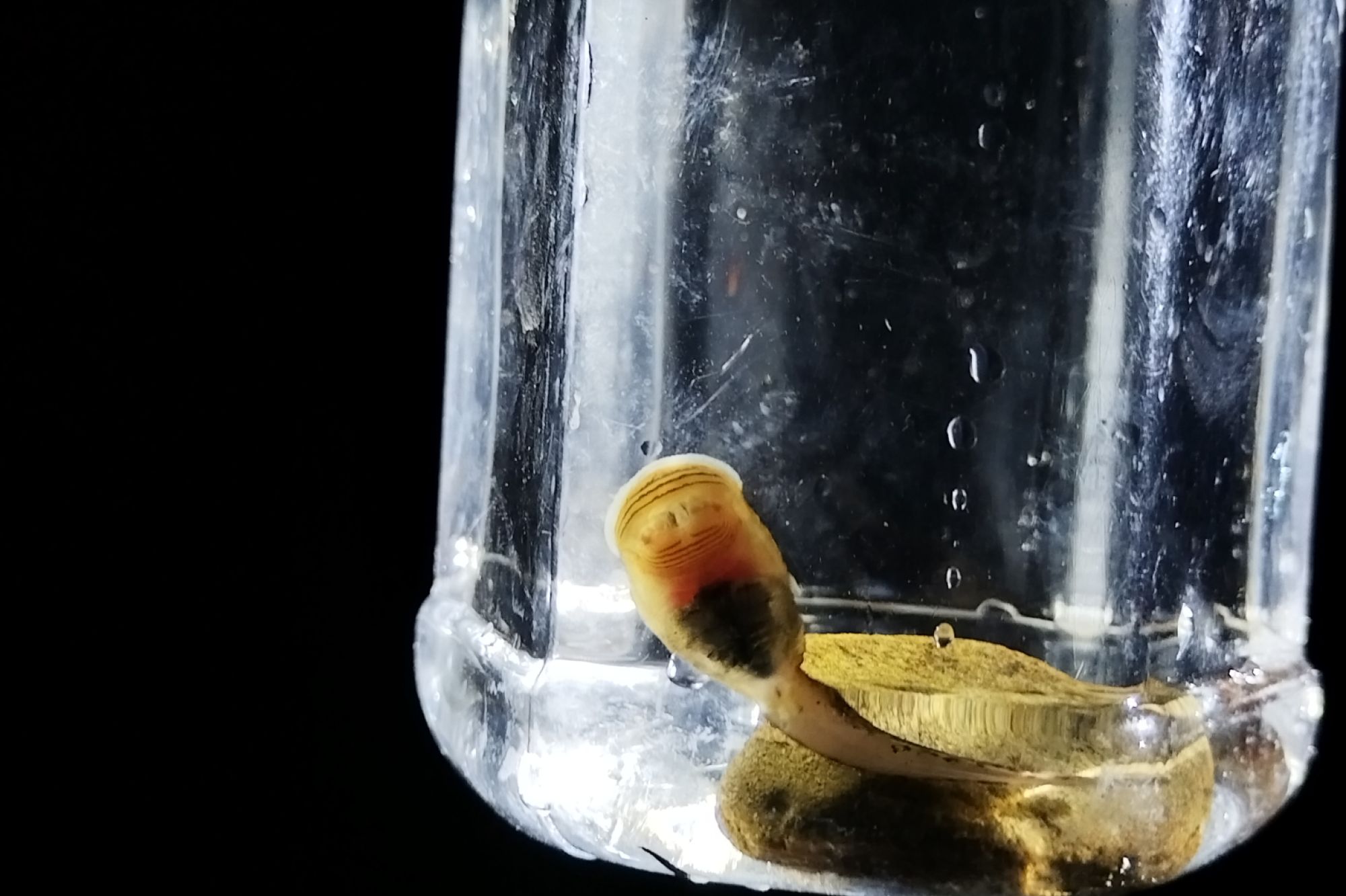 Image related to website content Image related to website content