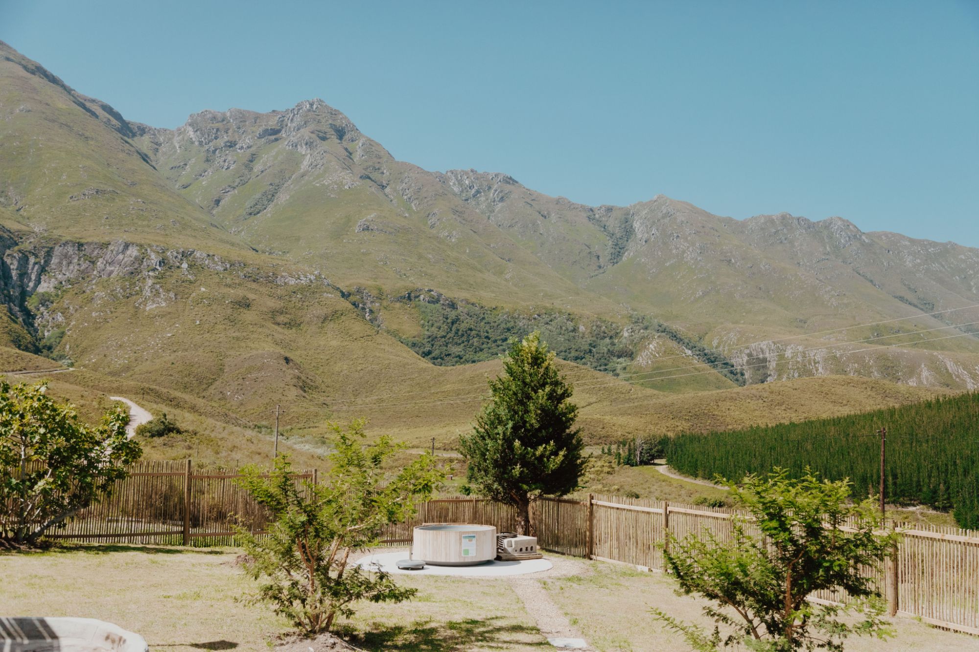 Image related to website content Image related to website content