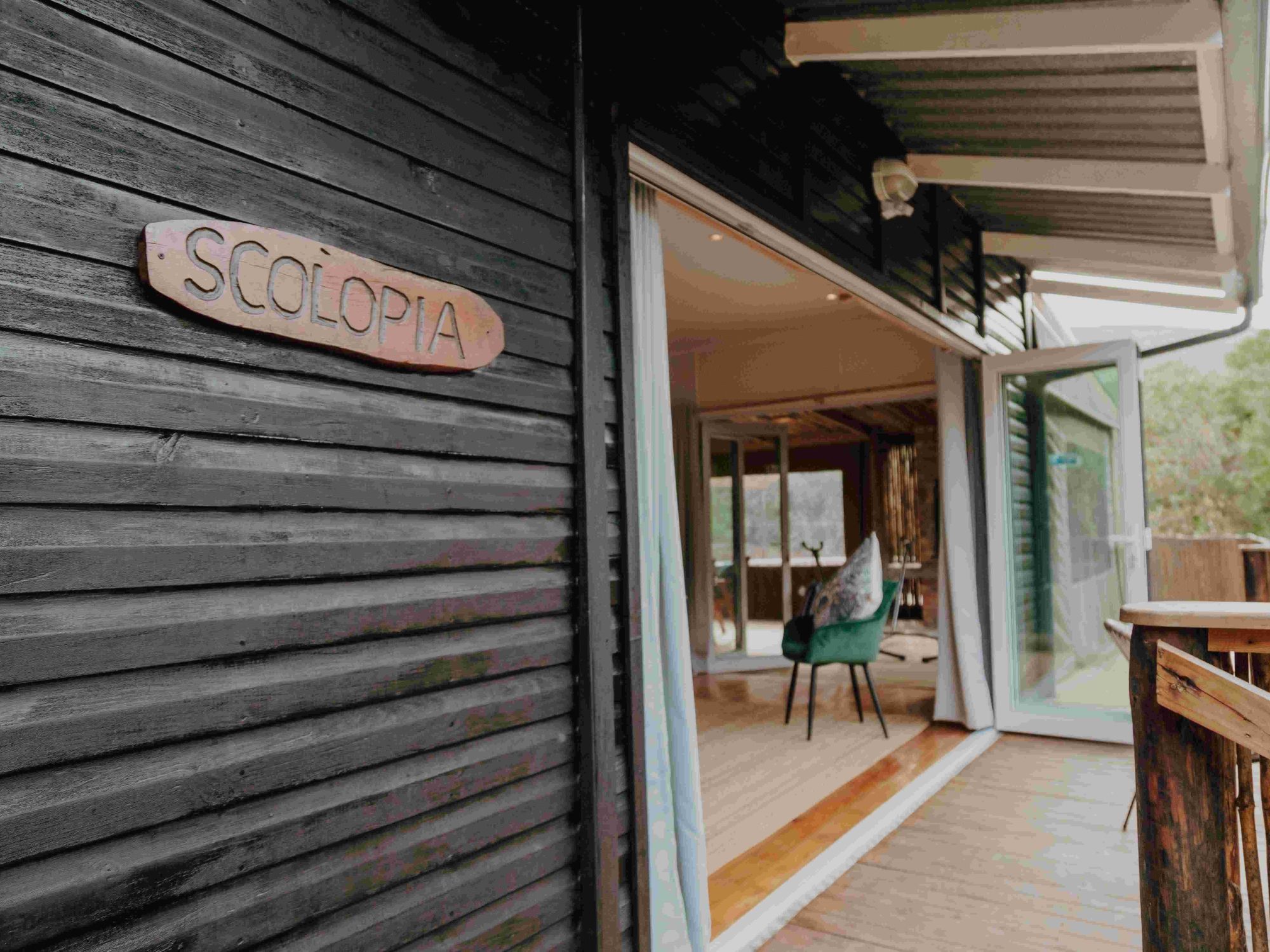 Tegansmithphotography Grootvadersbosch Scolopia 9879 Tegansmithphotography Grootvadersbosch Scolopia 9879