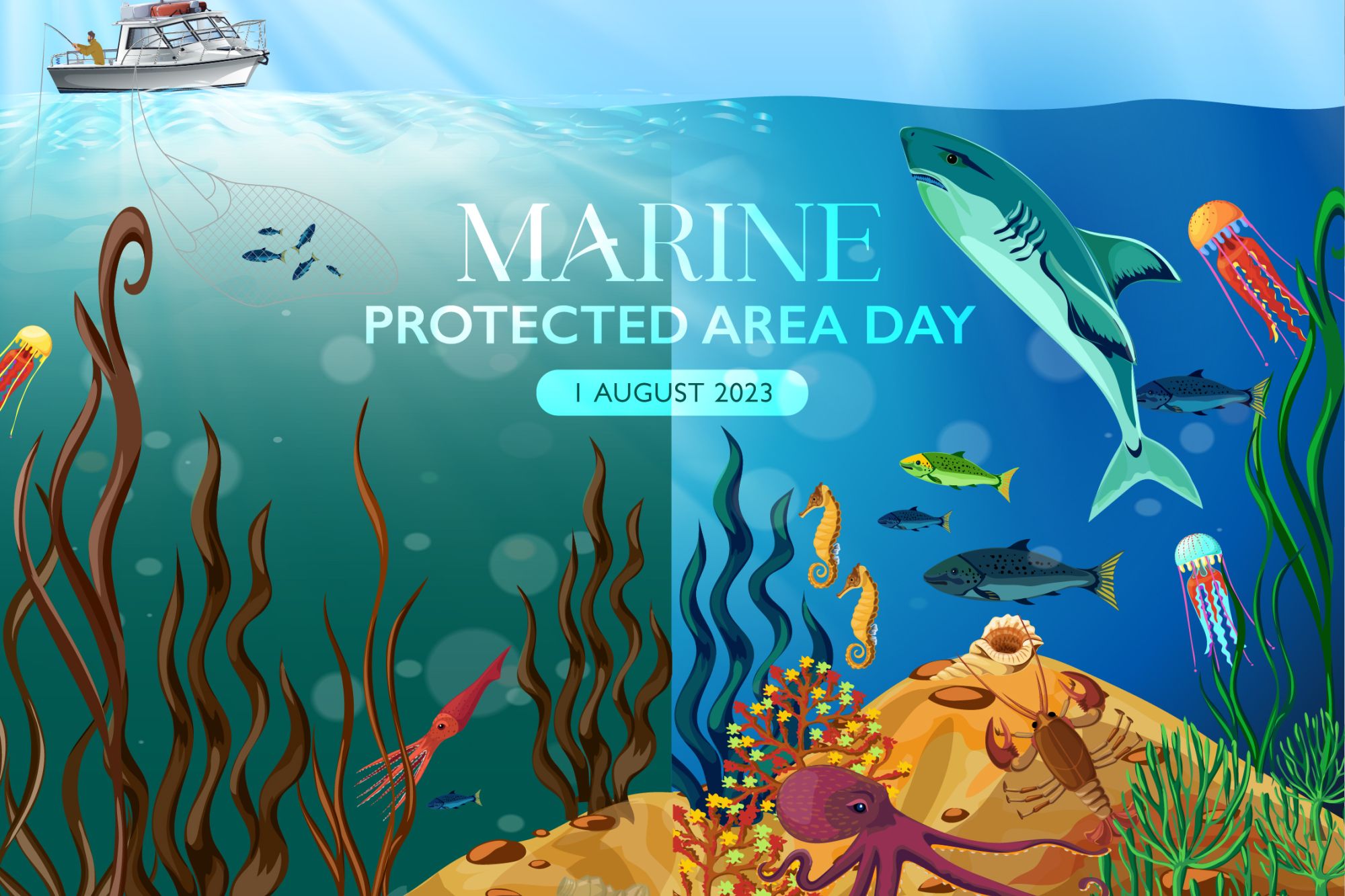 Image related to website content Image related to website content