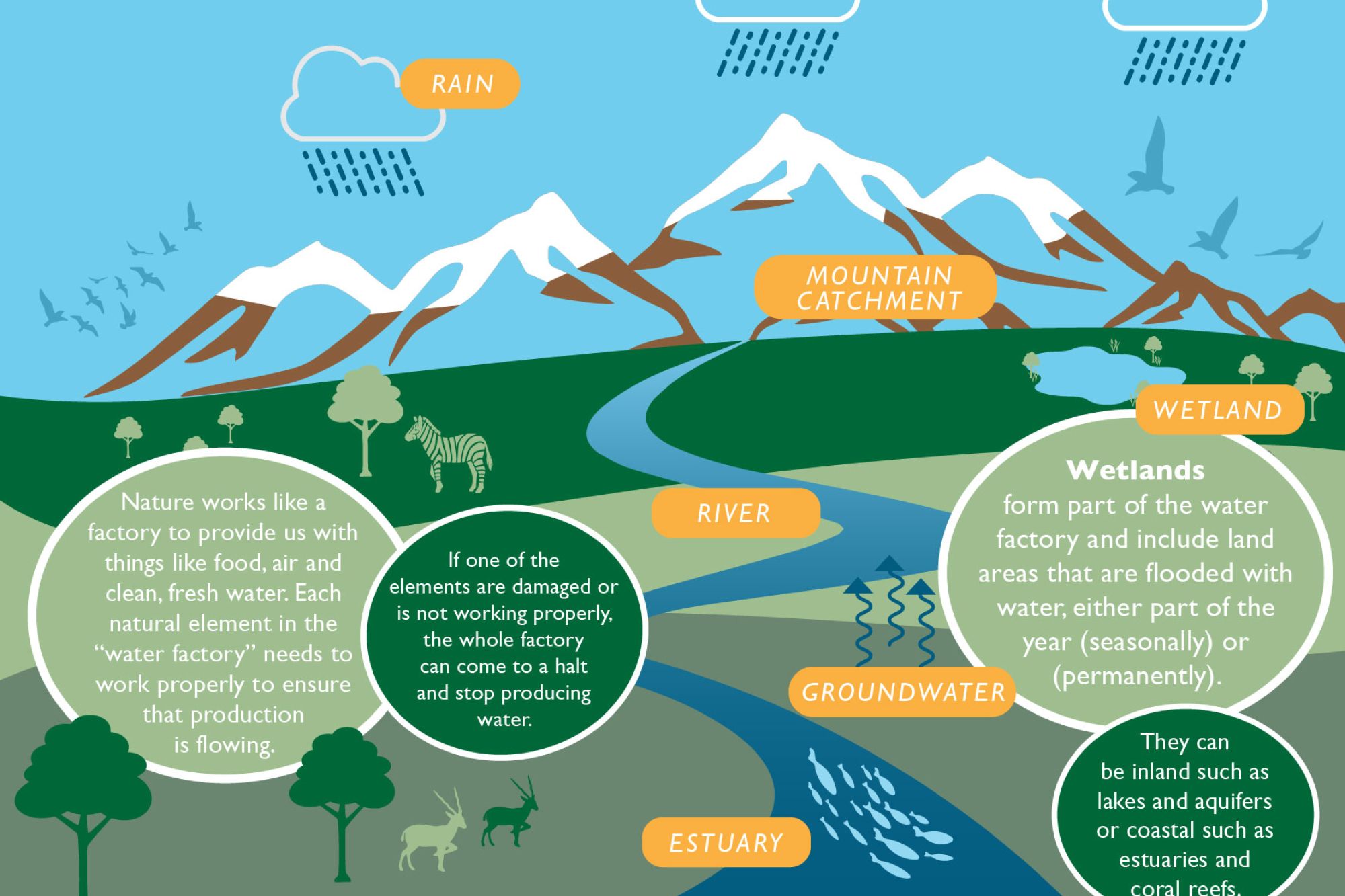 Image related to website content Image related to website content