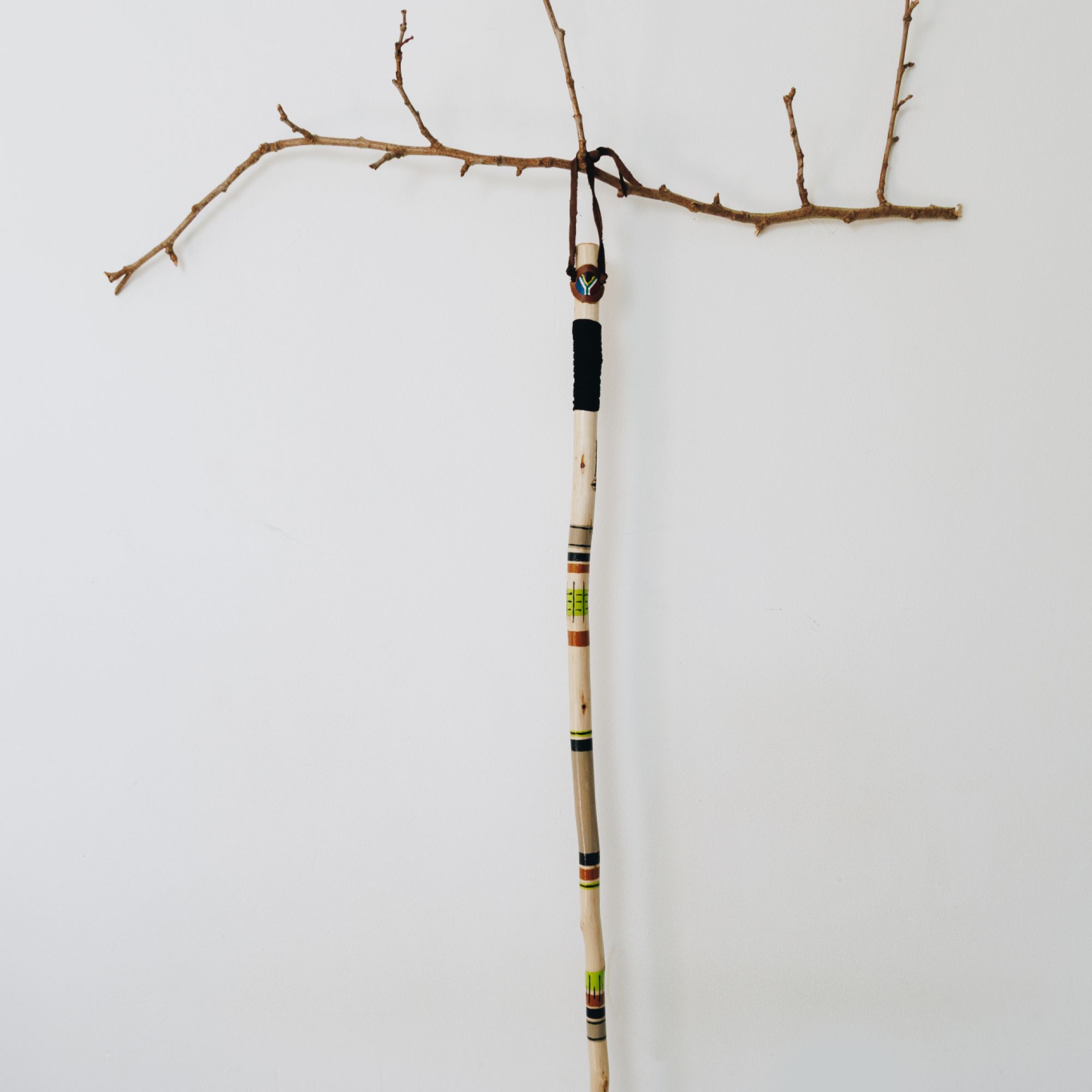 Walking Stick 4